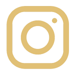 Icona Instagram